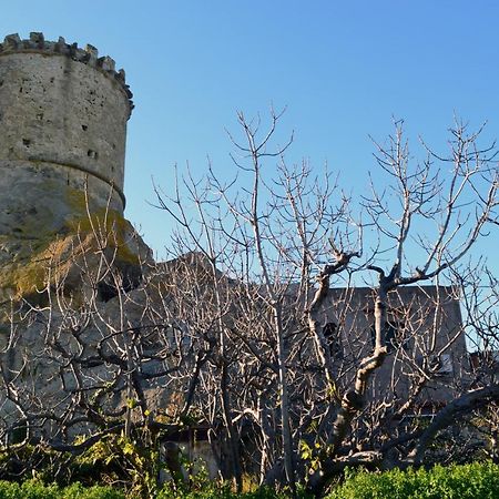 L'Agrumeto Forio di Ischia Kültér fotó
